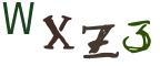 图形验证