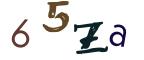 图形验证