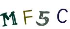 图形验证