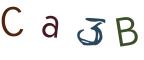 圖片的 CAPTCHA
