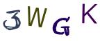 圖片的 CAPTCHA