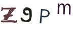 圖片的 CAPTCHA