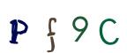 圖片的 CAPTCHA