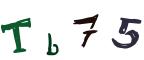 圖片的 CAPTCHA