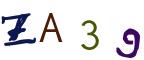 圖片的 CAPTCHA