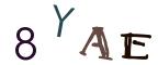 圖片的 CAPTCHA