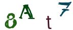 圖片的 CAPTCHA