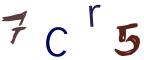 圖片的 CAPTCHA
