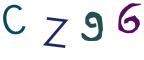 圖片的 CAPTCHA