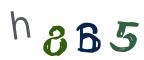 圖片的 CAPTCHA