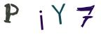 圖片的 CAPTCHA