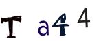 圖片的 CAPTCHA