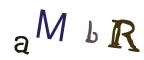 圖片的 CAPTCHA