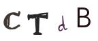 圖片的 CAPTCHA