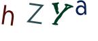 圖片的 CAPTCHA