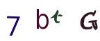 圖片的 CAPTCHA