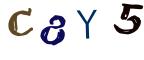 圖片的 CAPTCHA