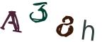 圖片的 CAPTCHA