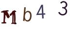 圖片的 CAPTCHA
