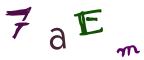 圖片的 CAPTCHA