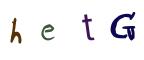 圖片的 CAPTCHA