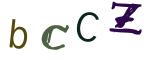 圖片的 CAPTCHA
