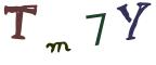 圖片的 CAPTCHA