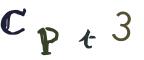 圖片的 CAPTCHA