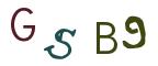 圖片的 CAPTCHA