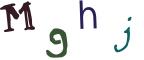 圖片的 CAPTCHA
