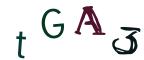 圖片的 CAPTCHA