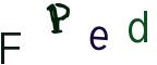 圖片的 CAPTCHA
