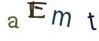 圖片的 CAPTCHA