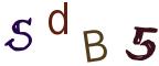 圖片的 CAPTCHA