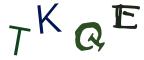 圖片的 CAPTCHA