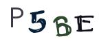 圖片的 CAPTCHA