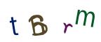 圖片的 CAPTCHA