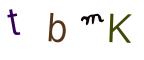 圖片的 CAPTCHA