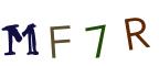 圖片的 CAPTCHA