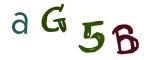 圖片的 CAPTCHA