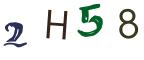 圖片的 CAPTCHA