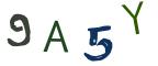 圖片的 CAPTCHA