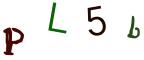 圖片的 CAPTCHA