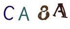 圖片的 CAPTCHA