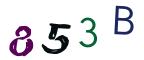 圖片的 CAPTCHA