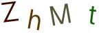 圖片的 CAPTCHA