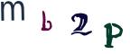 圖片的 CAPTCHA
