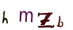 圖片的 CAPTCHA