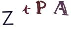 圖片的 CAPTCHA
