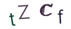 圖片的 CAPTCHA